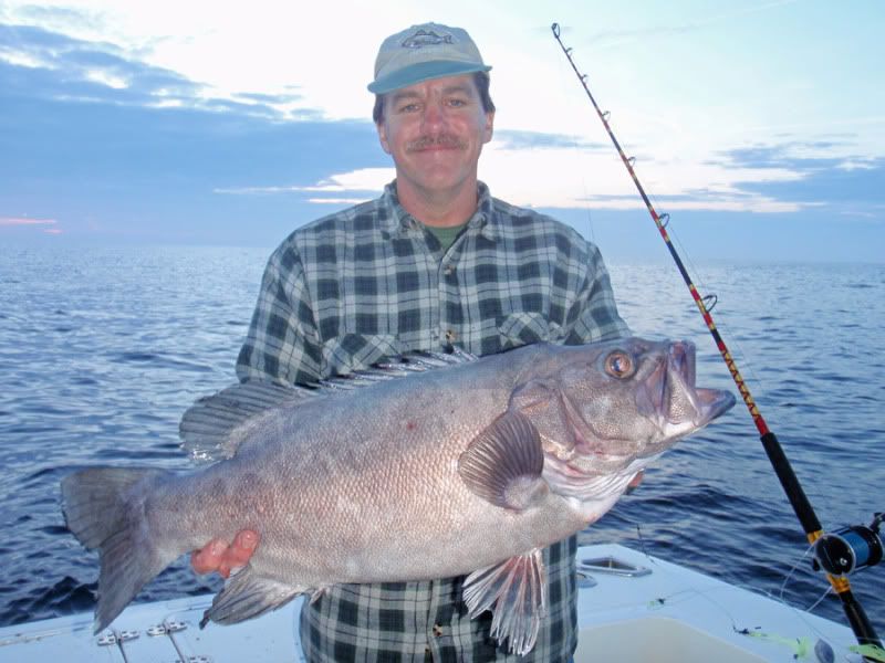 Fishing Report Goldens, Bluelines, Grouper, Wreckfish Tidal Fish Forum